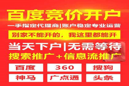 优化SEM竞价策略：成功案例剖析